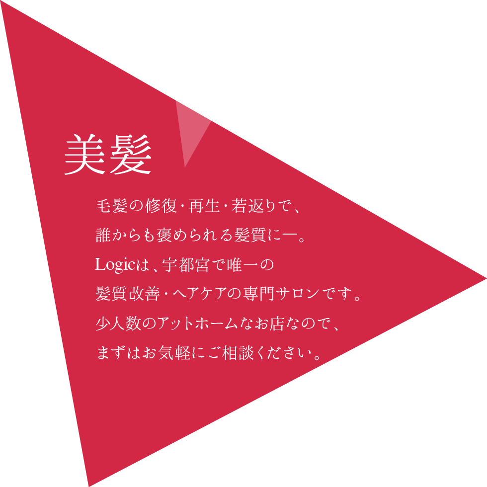 美髪｜毛髪の修復・再生・若返りで、誰からも褒められる髪質にーLogicは、宇都宮で唯一の髪質改善・ヘアケアの専門サロンです。少人数のアットホームなお店なので、まずはお気軽にご相談ください。